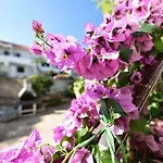 Lägenhet Lavanda - Free Parking&grill Jezera