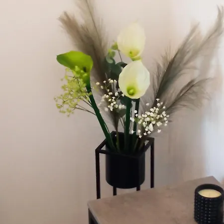 Lavanda - Free Parking And Grill * Jezera