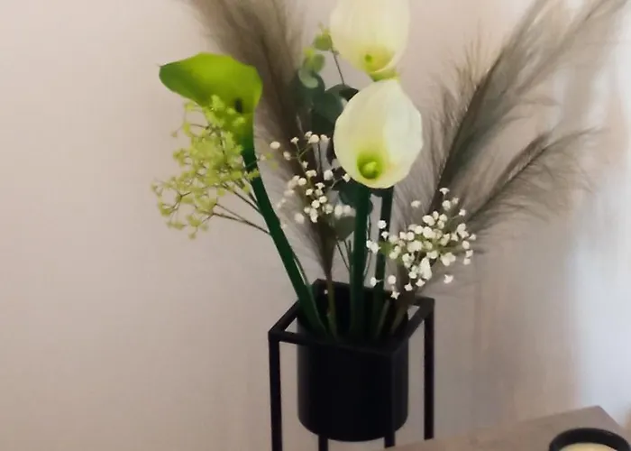 Lavanda - Free Parking And Grill * Jezera